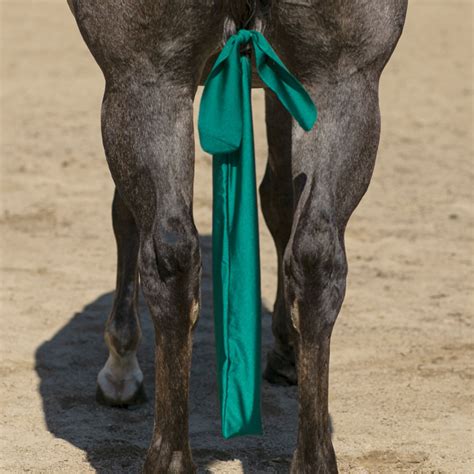 lycra tail bags for horses